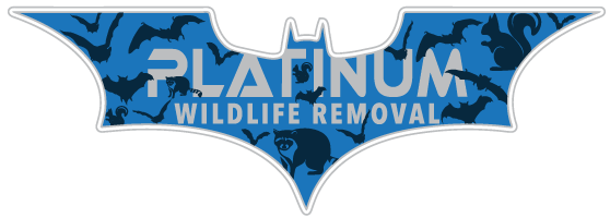 sandusky Wildlife Control Expert